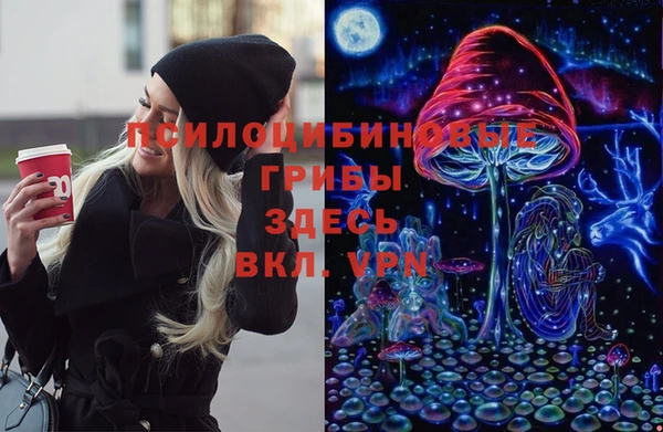 a pvp Дубовка