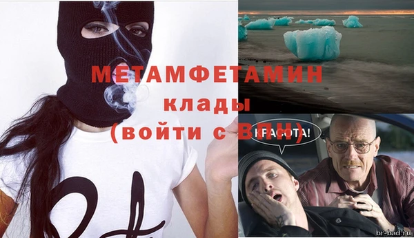 прущие грибы Нефтегорск