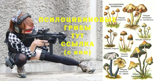 a pvp Дрезна