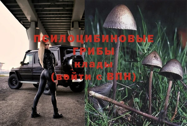 a pvp Дубовка