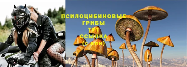 ПСИЛОЦИБИНОВЫЕ ГРИБЫ Новодвинск